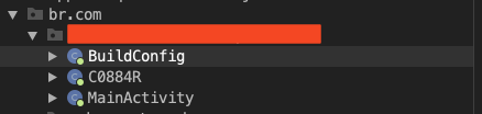 Decompiled Flutter APK showing only a few class files